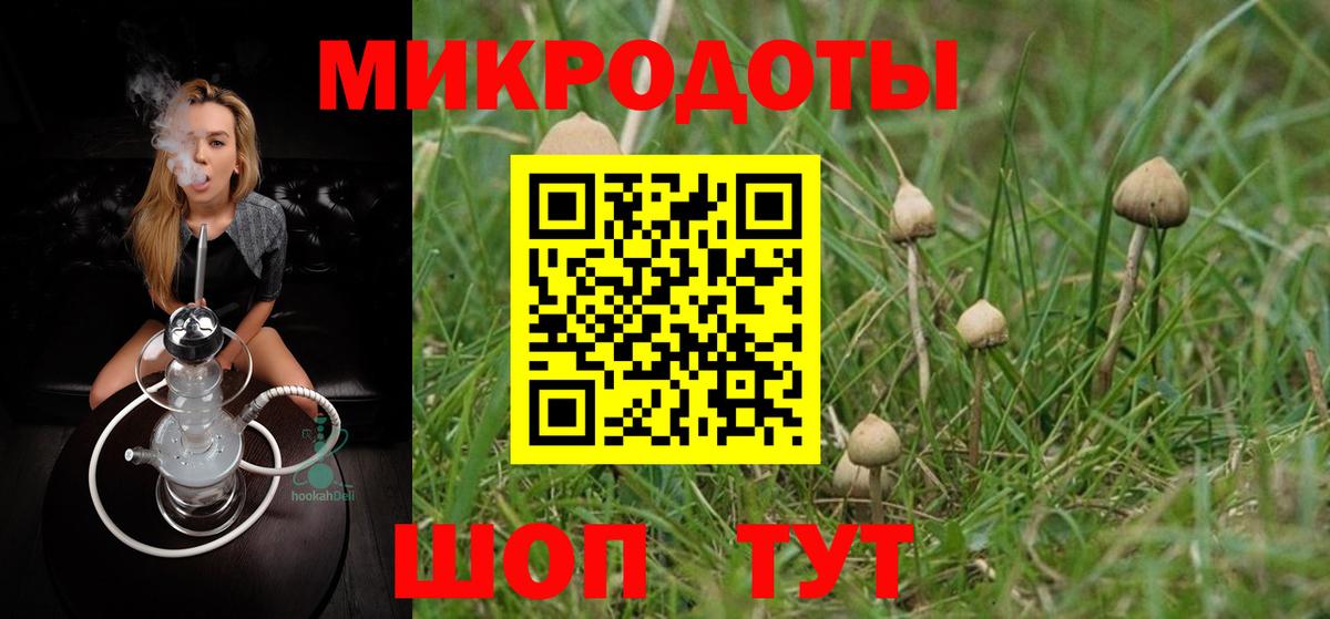Галлюциногенные грибы Psilocybine cubensis Мценск